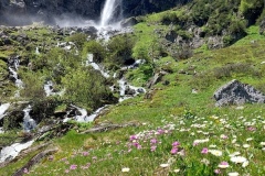 S_Sunnigen_Taeler_800