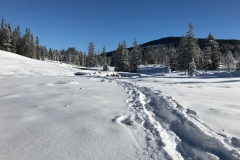 W_Glaubenberg_800